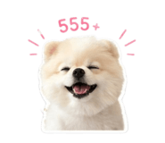 856955031