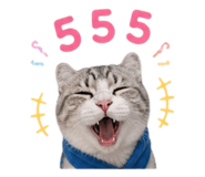 856955184