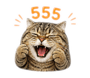856956034
