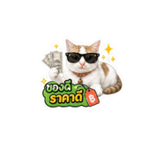 856956048