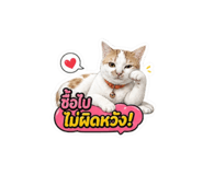 856956049