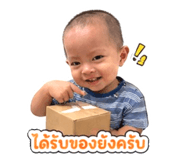 856956562