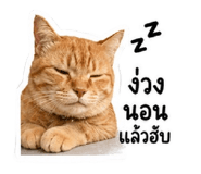 856956782