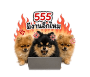 856956842