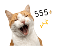 856957097