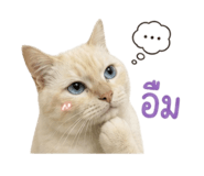 856957610