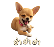 856957756