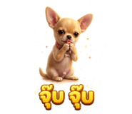 856957776
