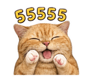 856958674