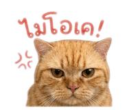 856958679