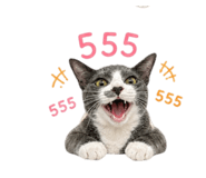856960259
