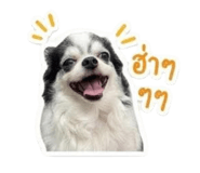 856960820