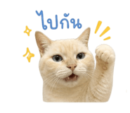 856960958