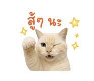 856960961