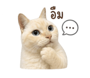 856960962