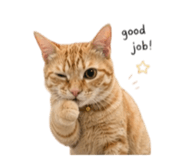 856961755