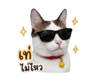 856962772