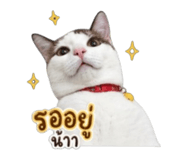 856962774