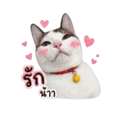 856962776