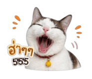 856962792