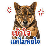 856963622
