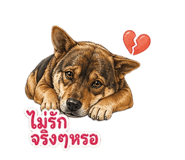 856963632