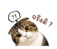 856963947