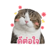 856963968