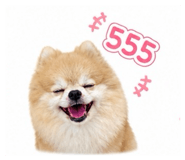 856964451