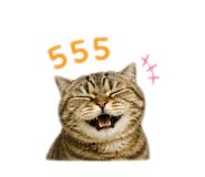 856969158