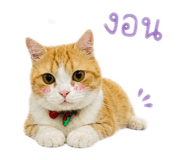 856969230
