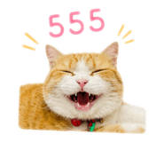 856969238