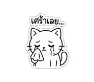 856969417