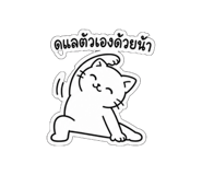 856969425