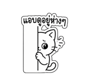 856969426