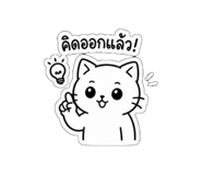 856969427