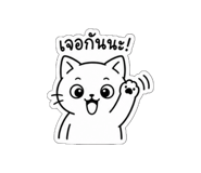 856969435