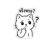 856969441