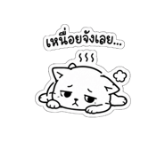 856969445