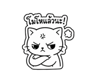 856969447