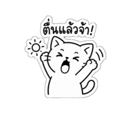 856969456