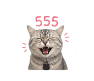 856969716
