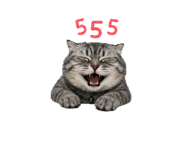 856969764