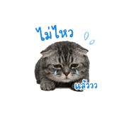856969765