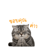 856969768