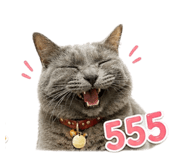856969850