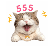 856969973