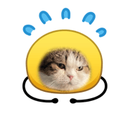 856969975