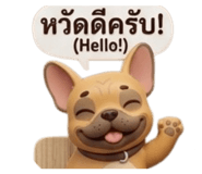 856970457
