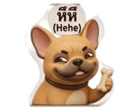 856970461